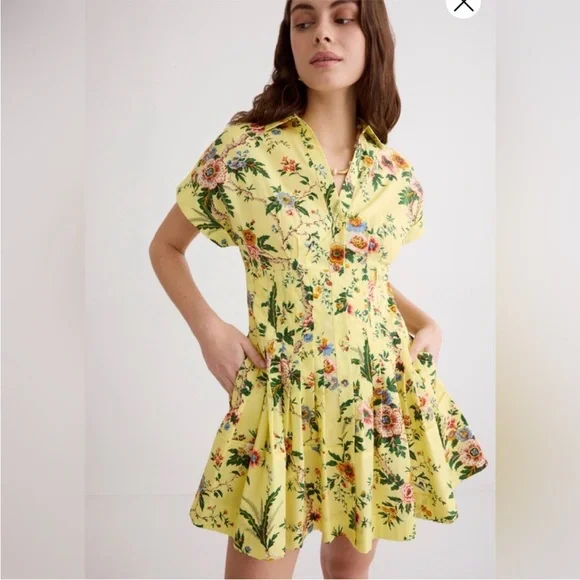 Cara Cara Nash Mini Yellow Floral Dress - Picture 1 of 4